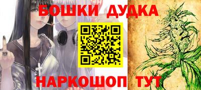 крисы Новозыбков