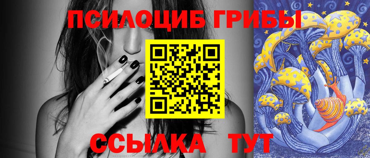 Родники  Галлюциногенные грибы Psilocybe  Вход с VPN 